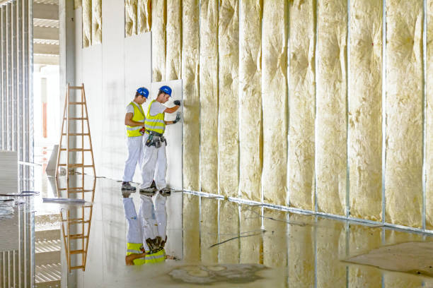 Best Insulation Maintenance and Repair in Manhattan, MT